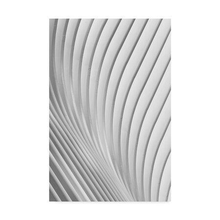 Trademark Fine Art Christopher Budny 'Calatrava Lines' Canvas Art, 30x47 1X07983-C3047GG